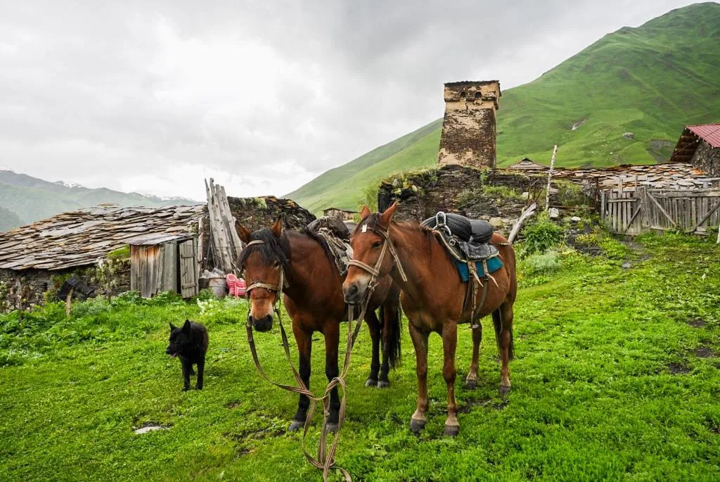 Guesthouse Nora ushguli